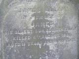 image of grave number 49238